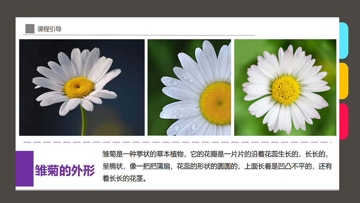 17494216第8页