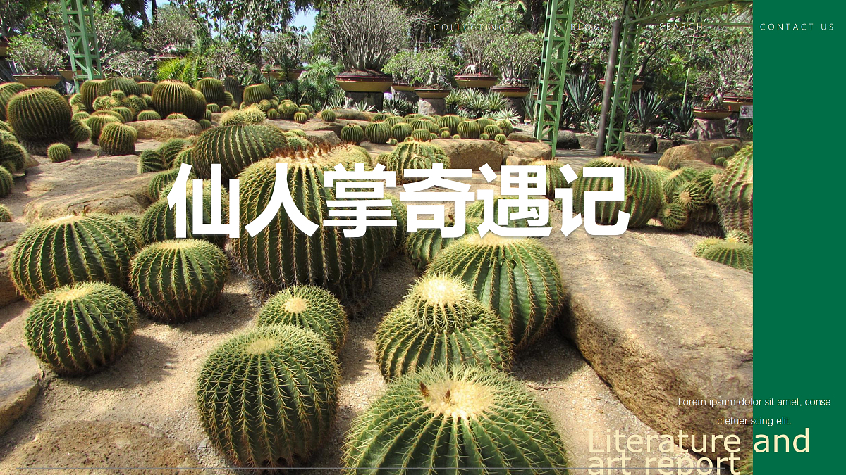 17494217第1页