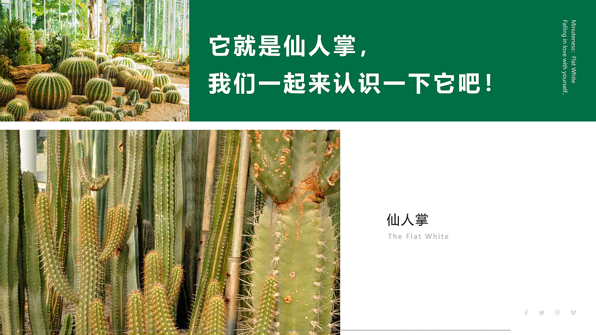 17494217第5页