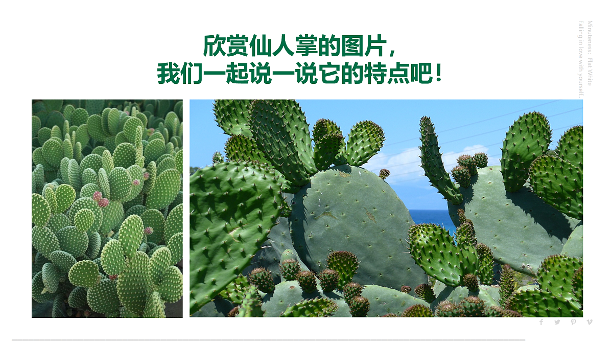 17494217第7页