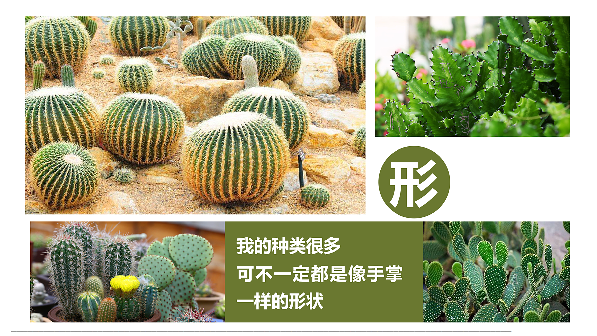 17494217第8页