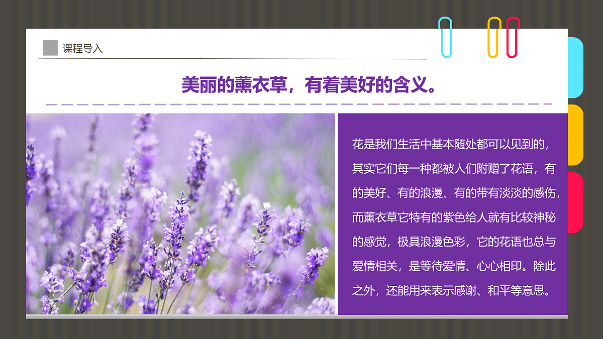17494221第6页