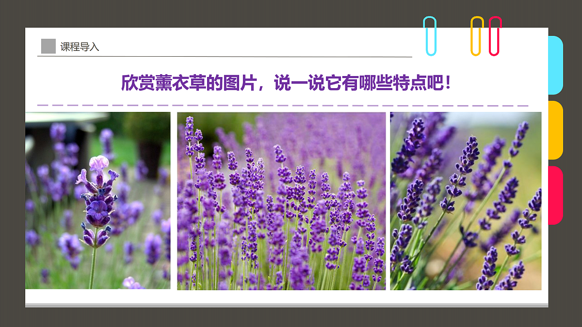 17494221第8页