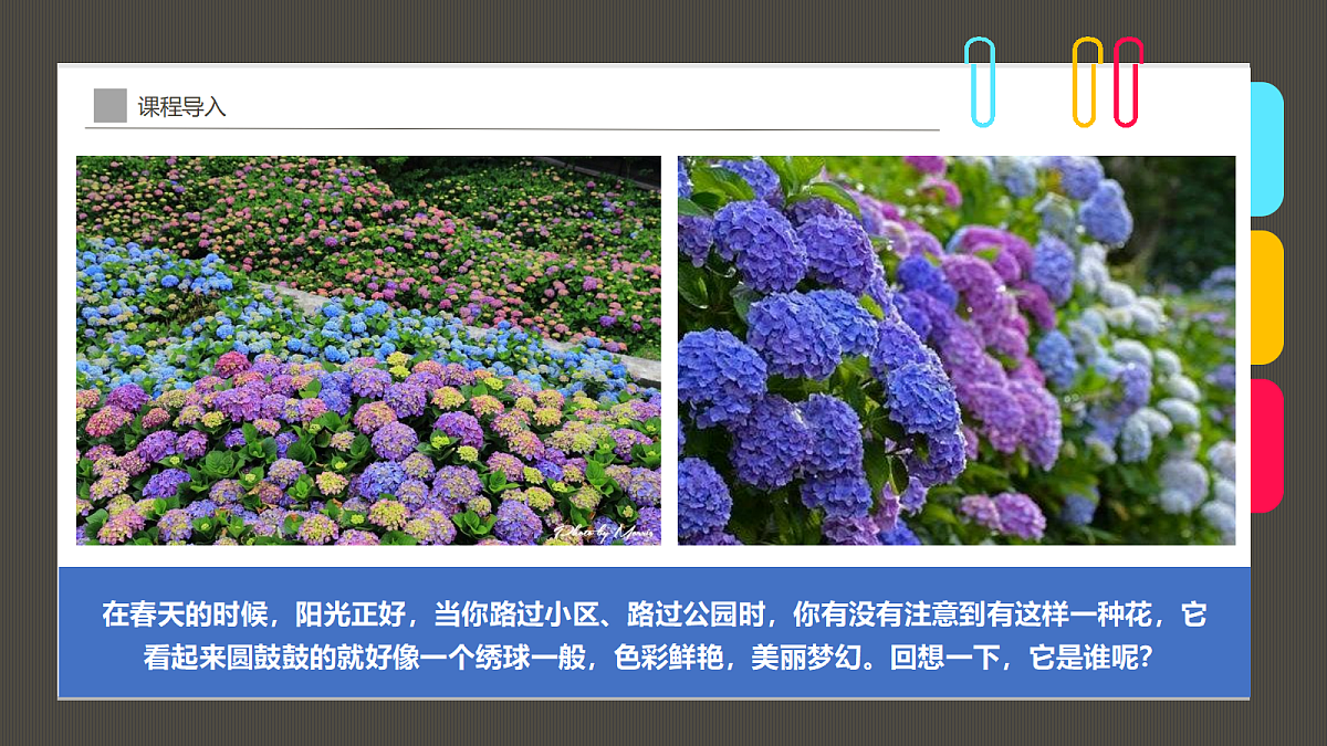 17494223第4页