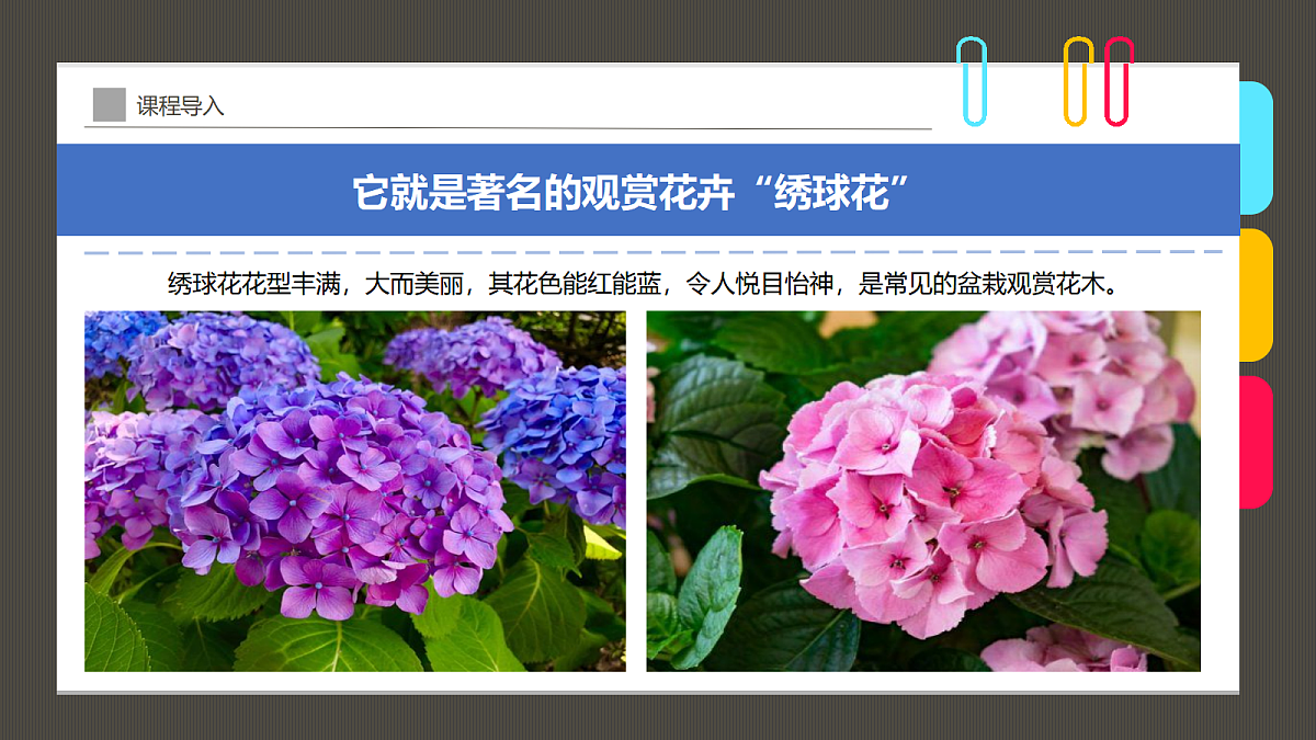 17494223第5页