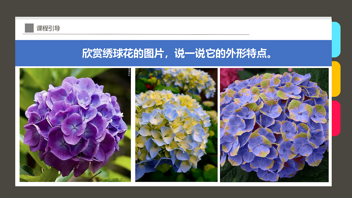 17494223第6页