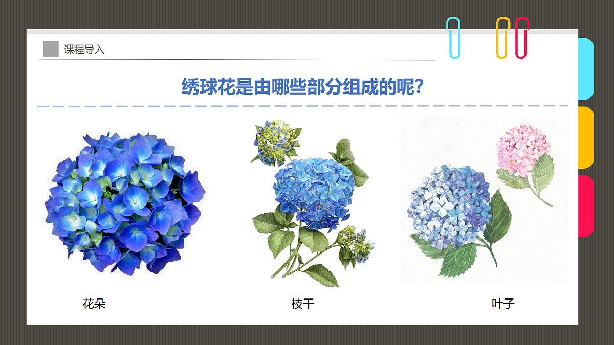 17494223第7页