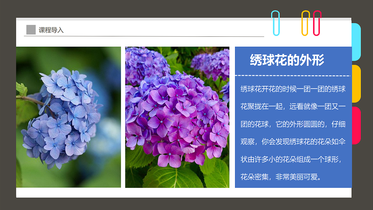 17494223第8页