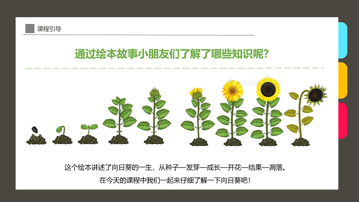 17494224第5页