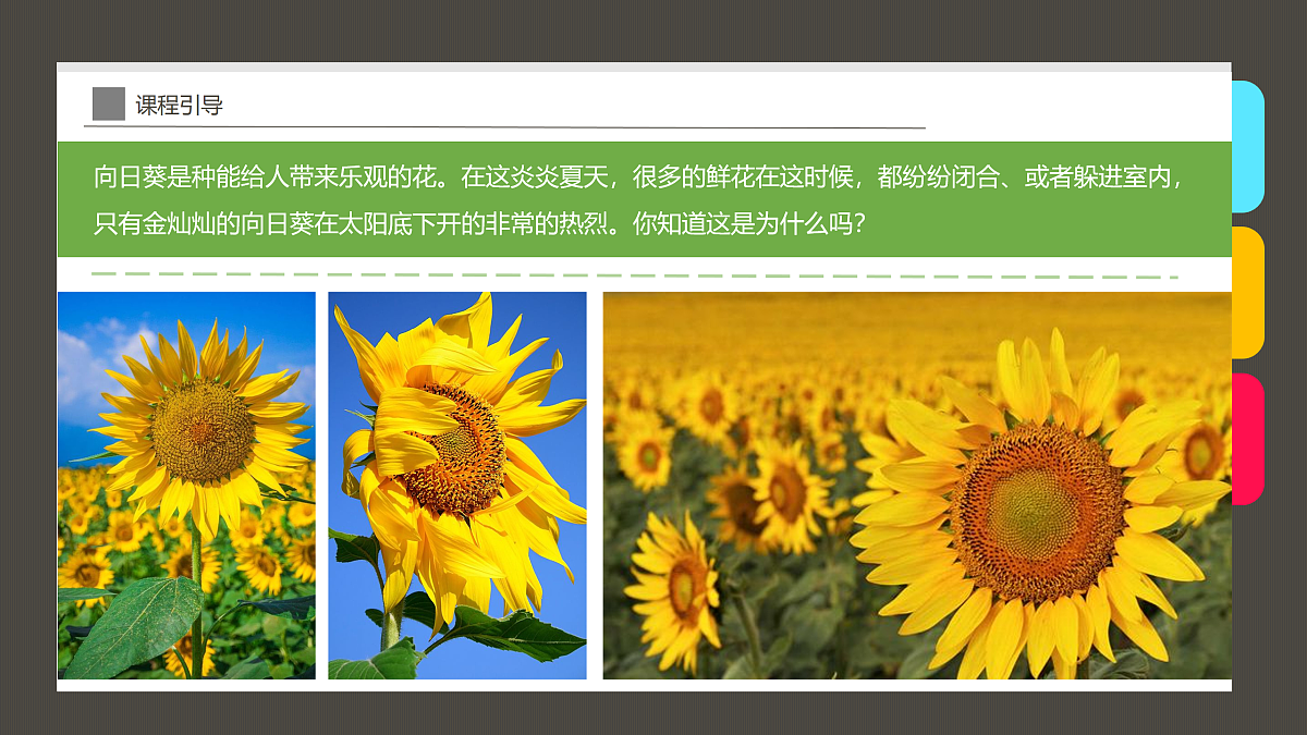 17494224第7页