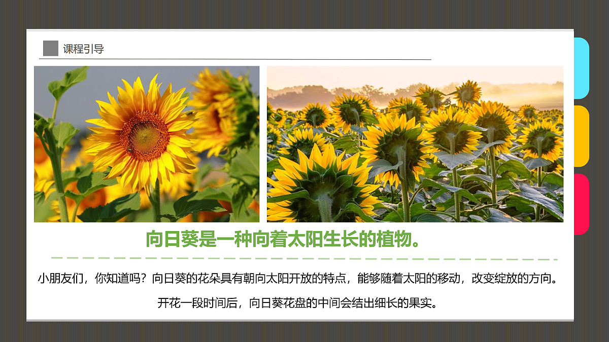 17494224第8页