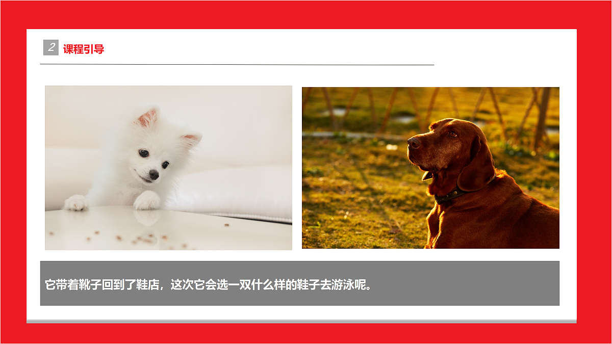 17494227第5页
