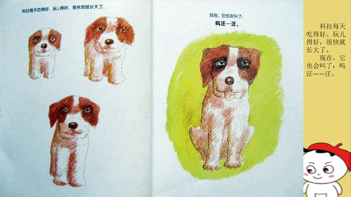 17494228第3页