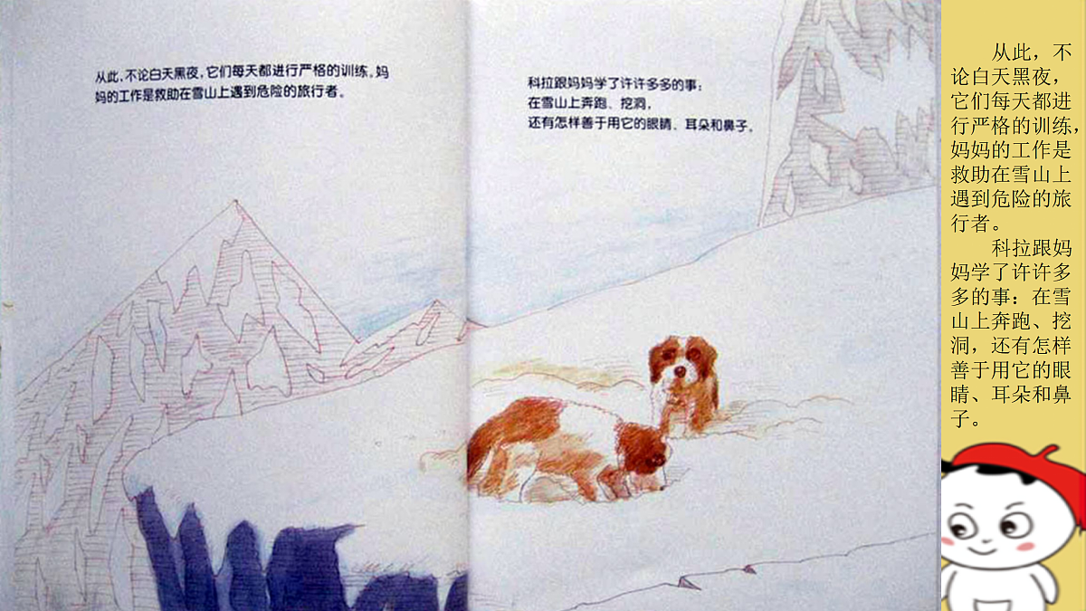 17494228第5页