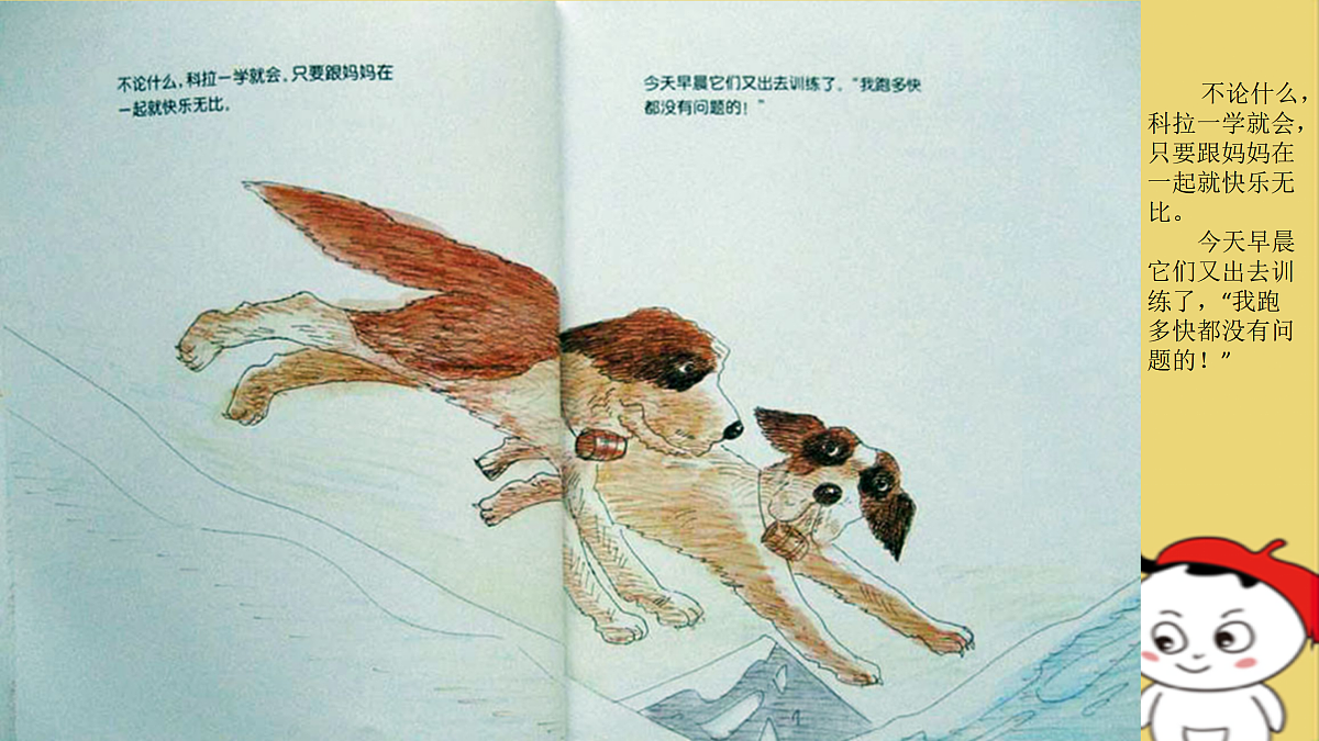17494228第6页