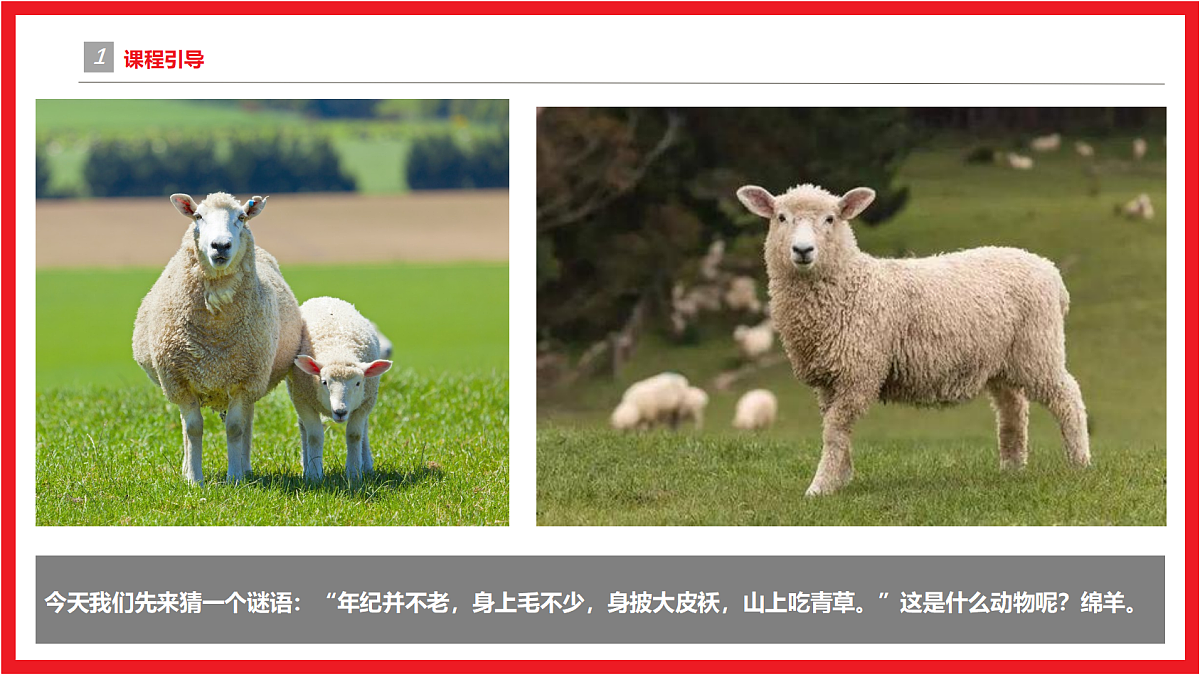 17494231第4页