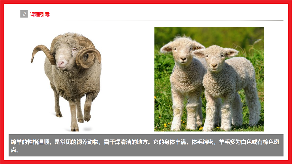 17494231第5页