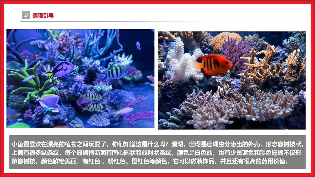 17494232第5页