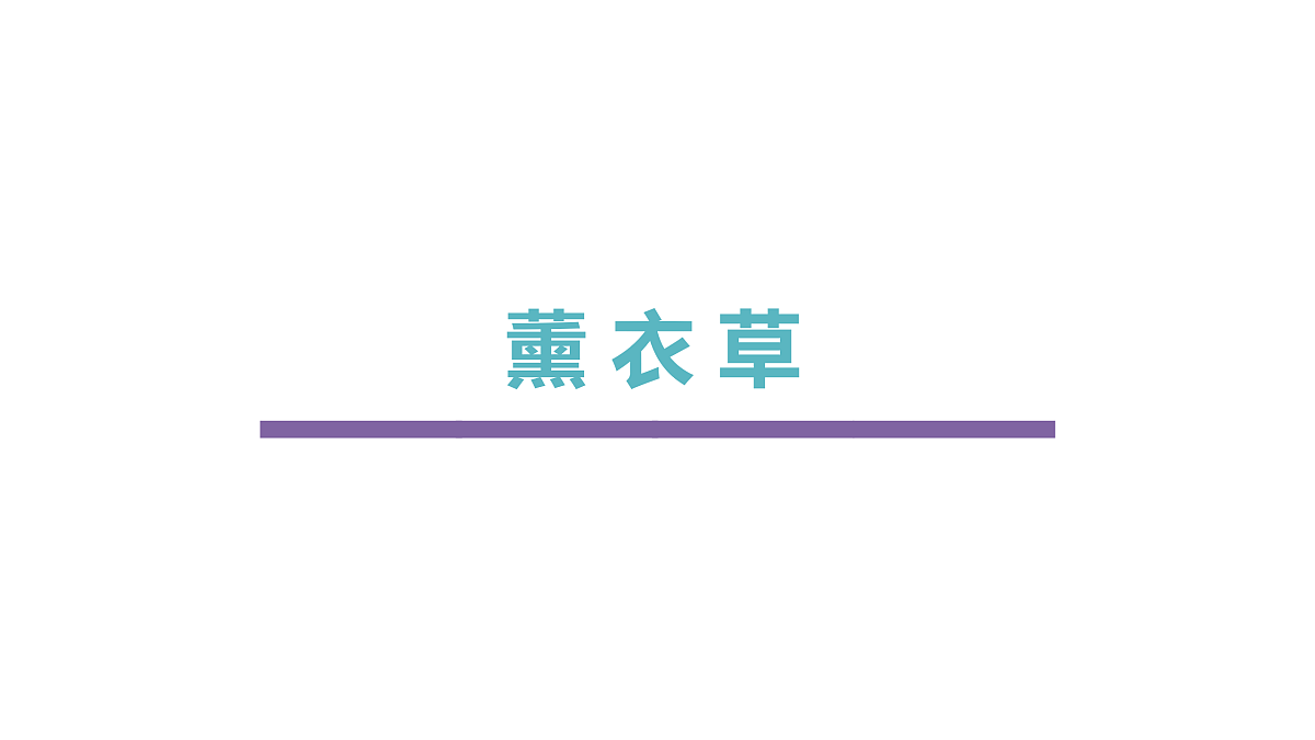 17494326第1页