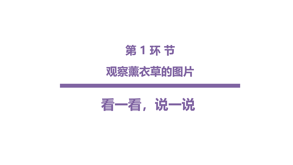 17494326第5页