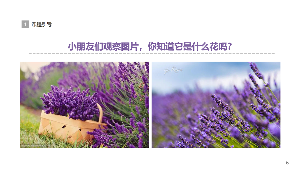 17494326第6页