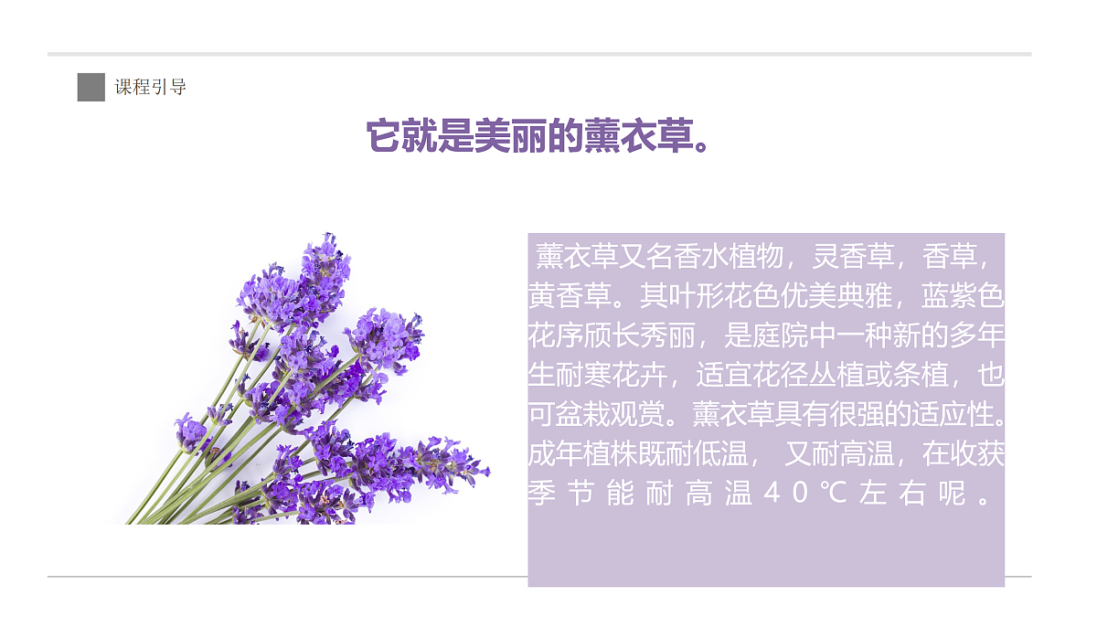 17494326第7页