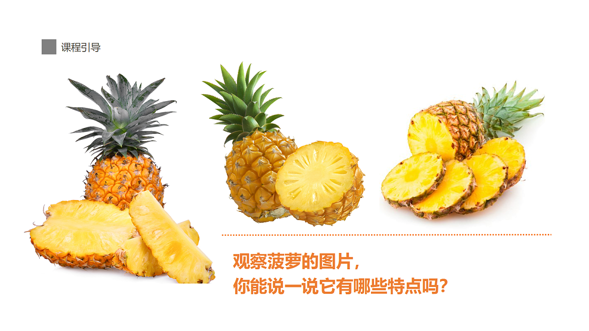 17494327第7页