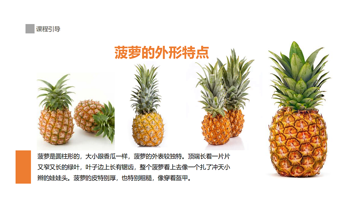 17494327第8页
