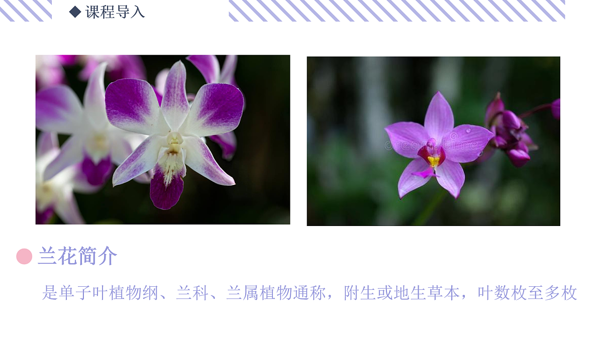 17494332第4页