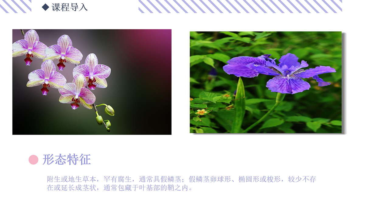 17494332第6页