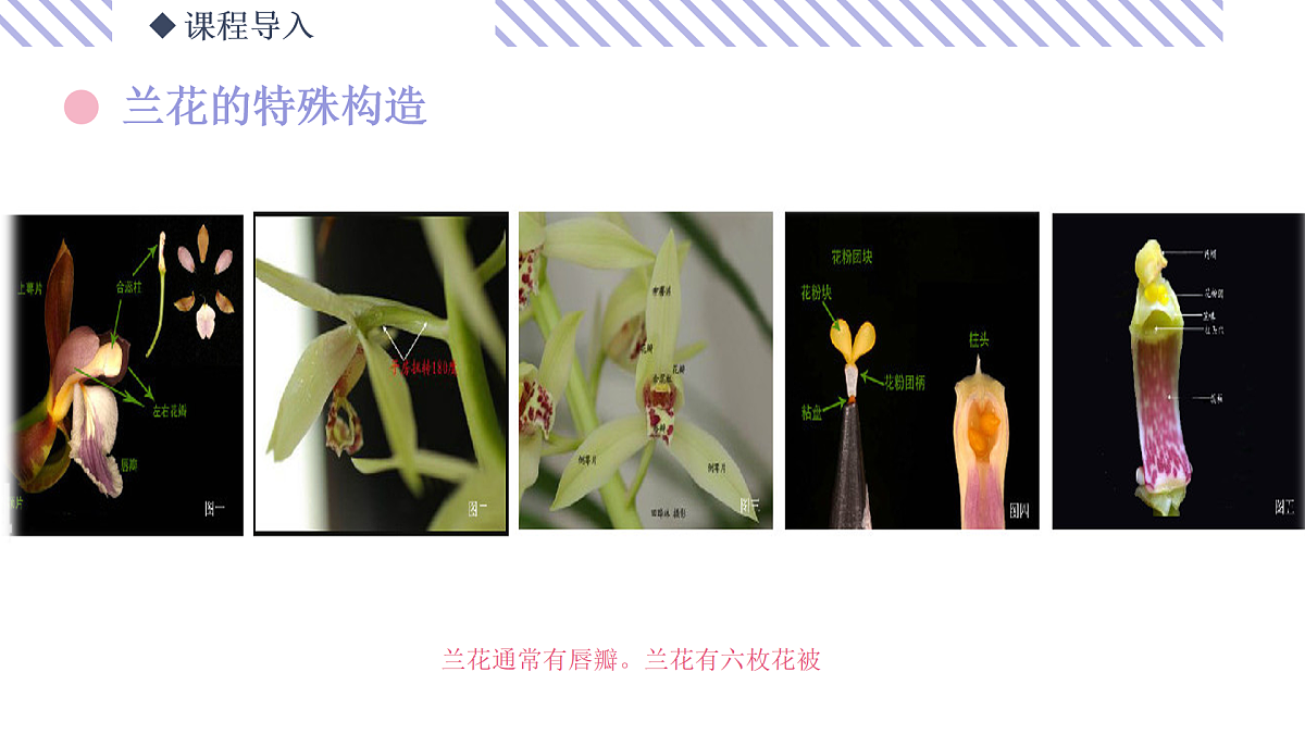 17494332第7页