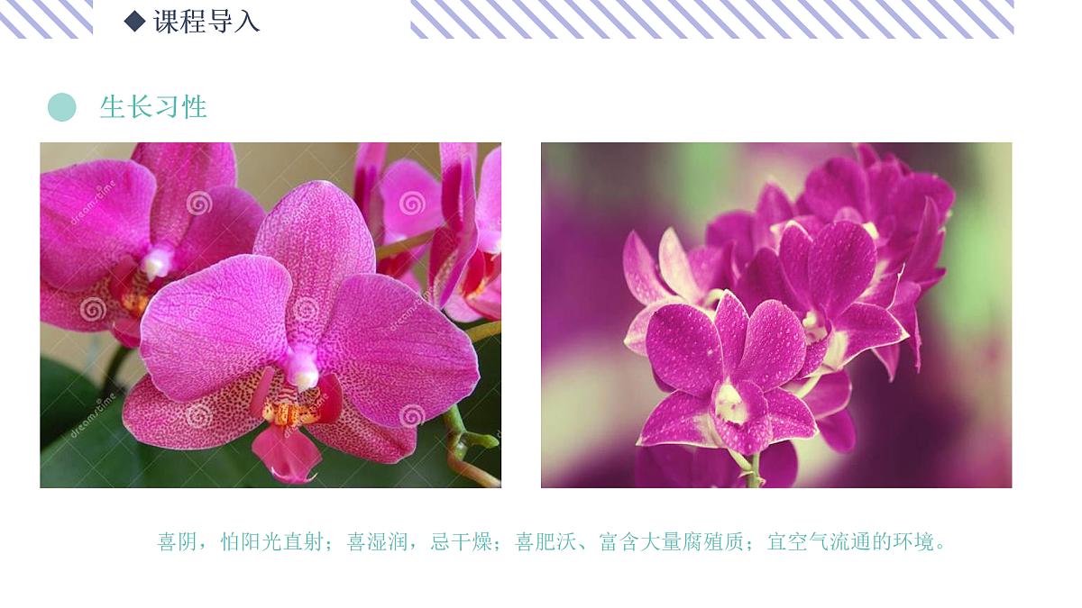 17494332第8页