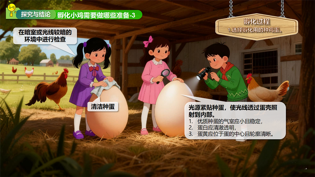 11孵化小鸡第7页