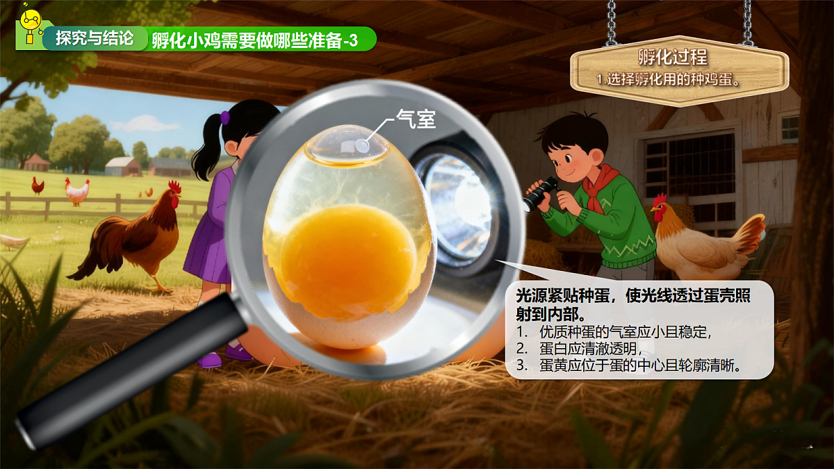 11孵化小鸡第8页