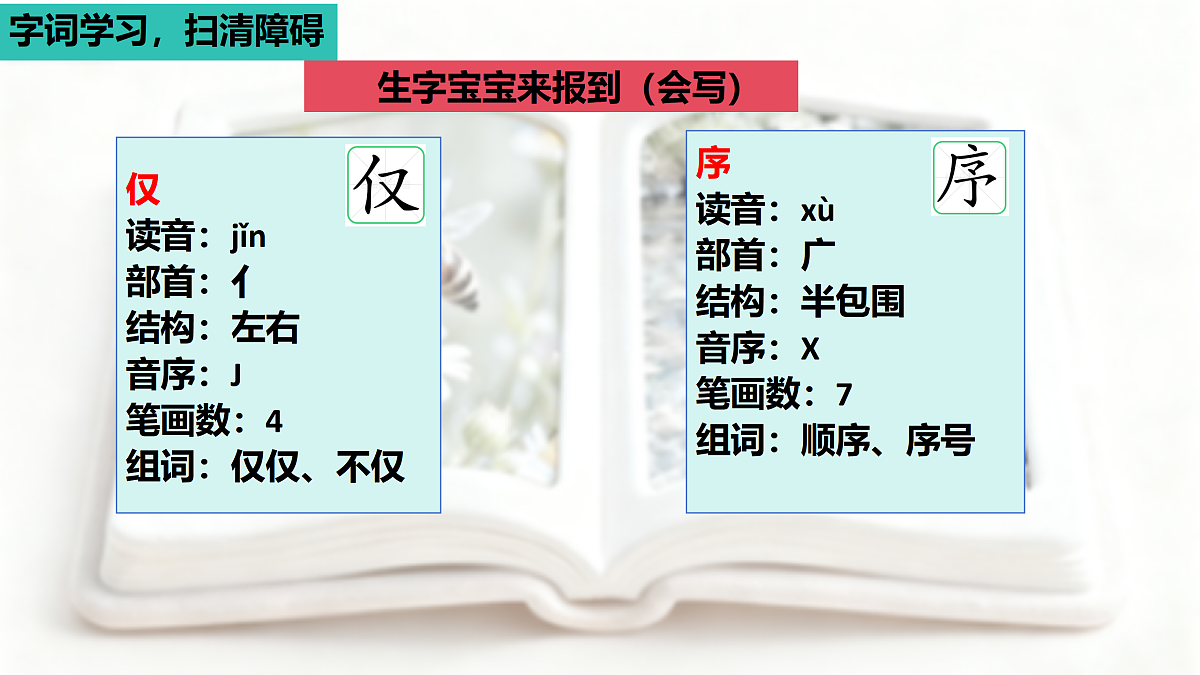 22、《读不完的大书》课件（2 课时）第8页