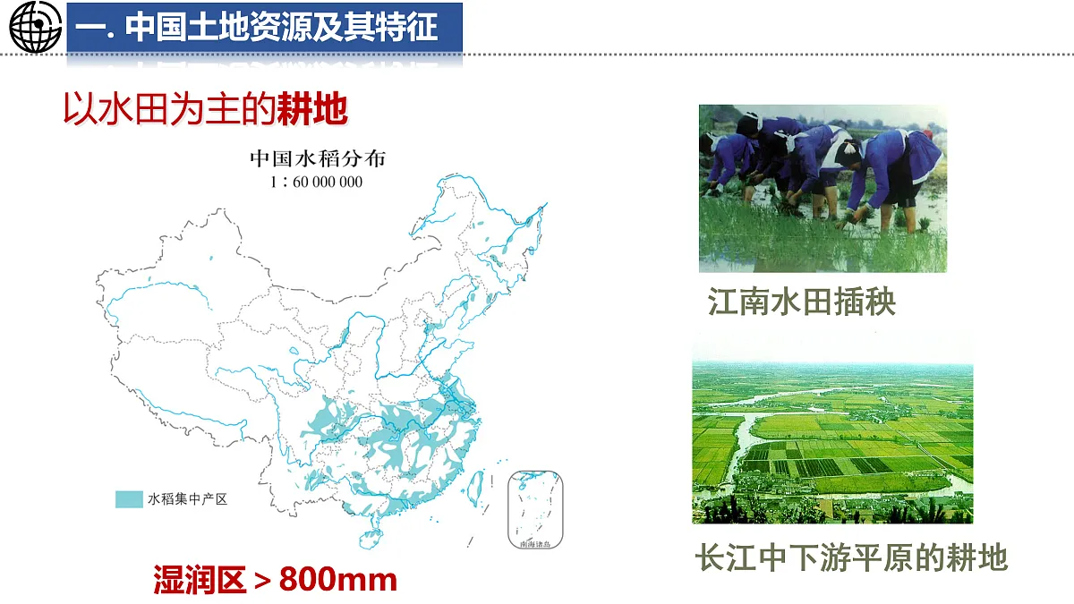17495258第5页