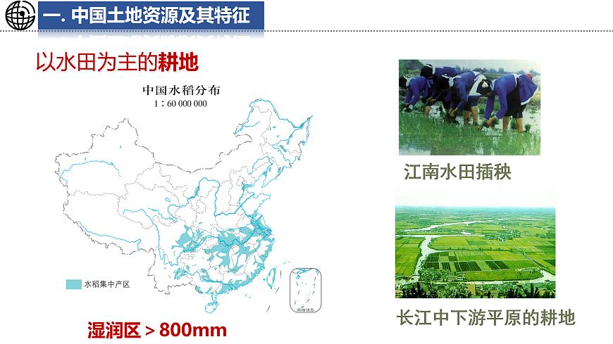 17495258第5页