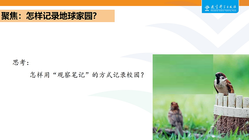 2-2我们的校园第3页