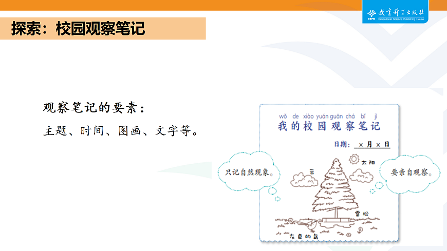 2-2我们的校园第4页