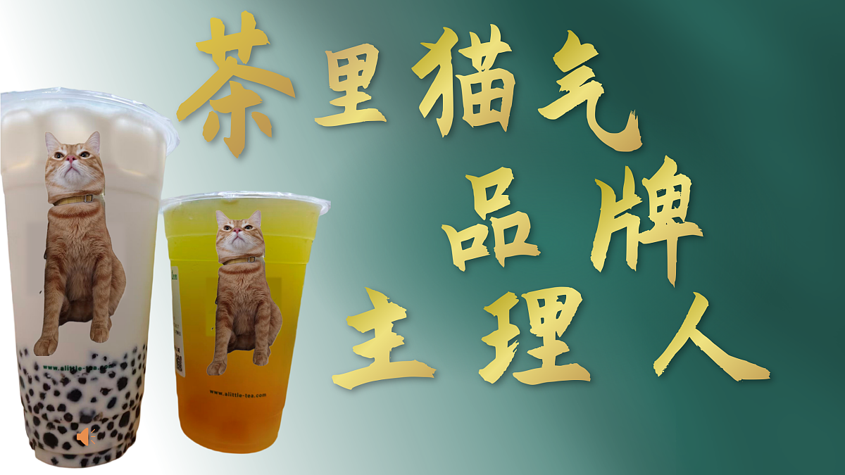 17496154第3页