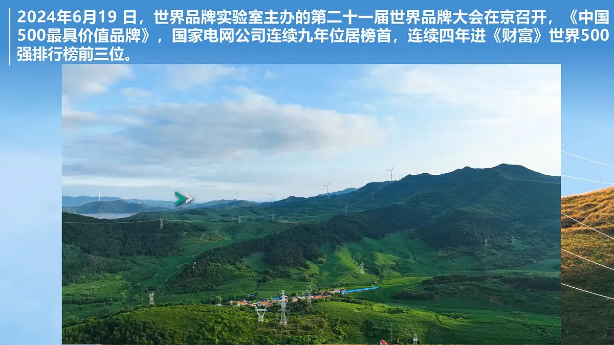 17496156第4页
