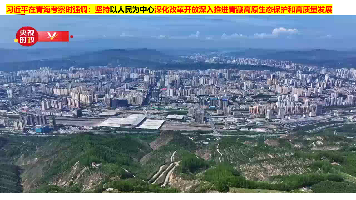 17496157第5页