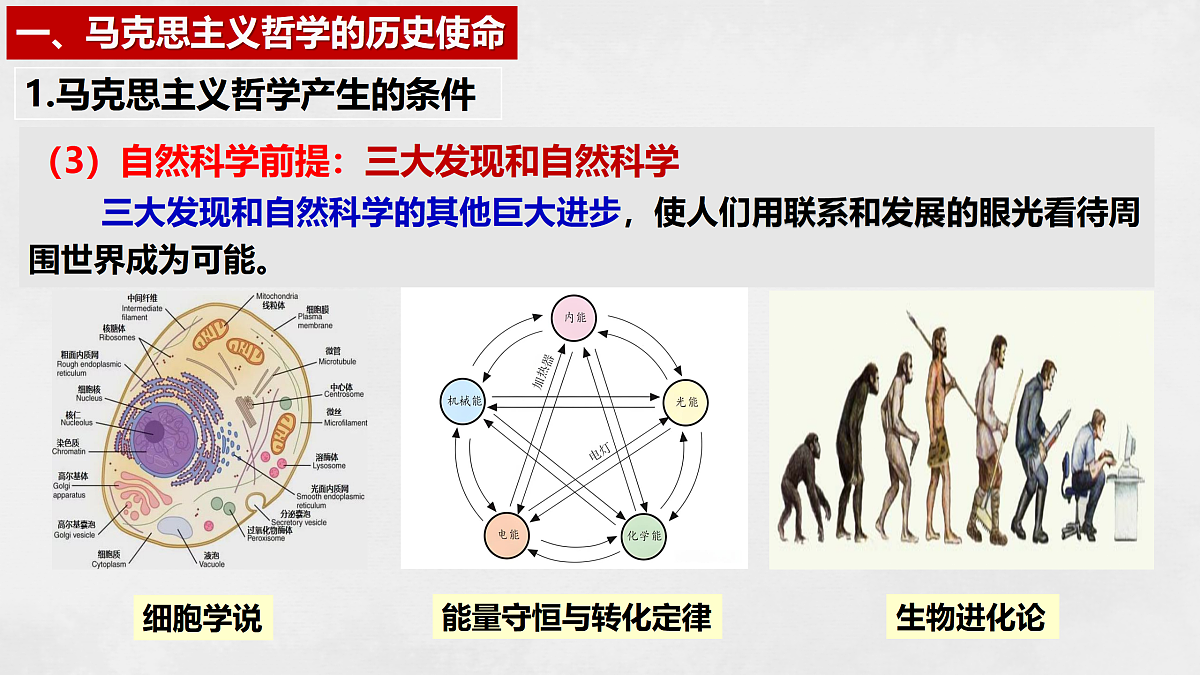 17496160第8页