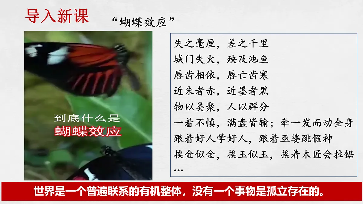 17496163第4页