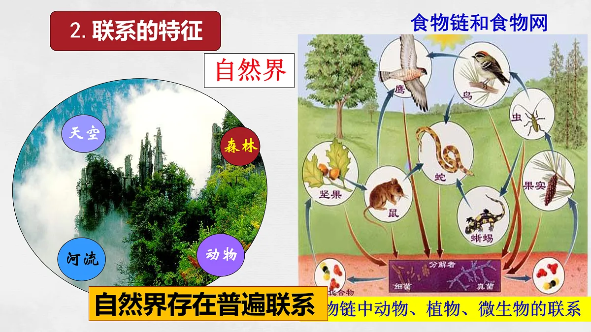 17496163第7页