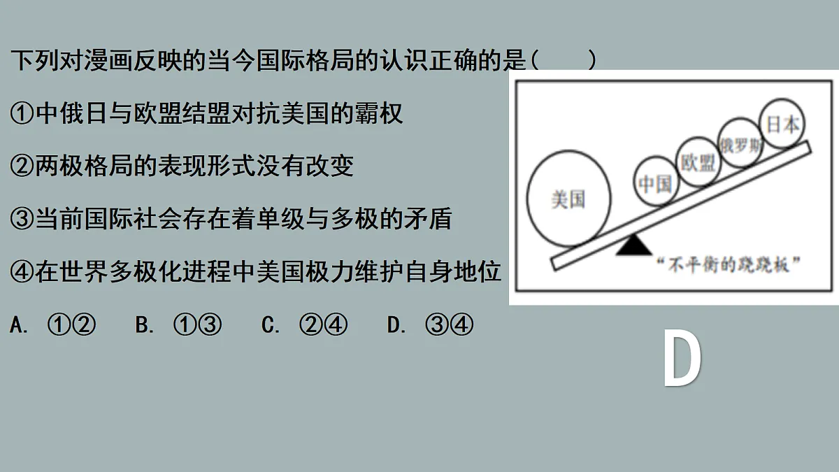 17496204第7页