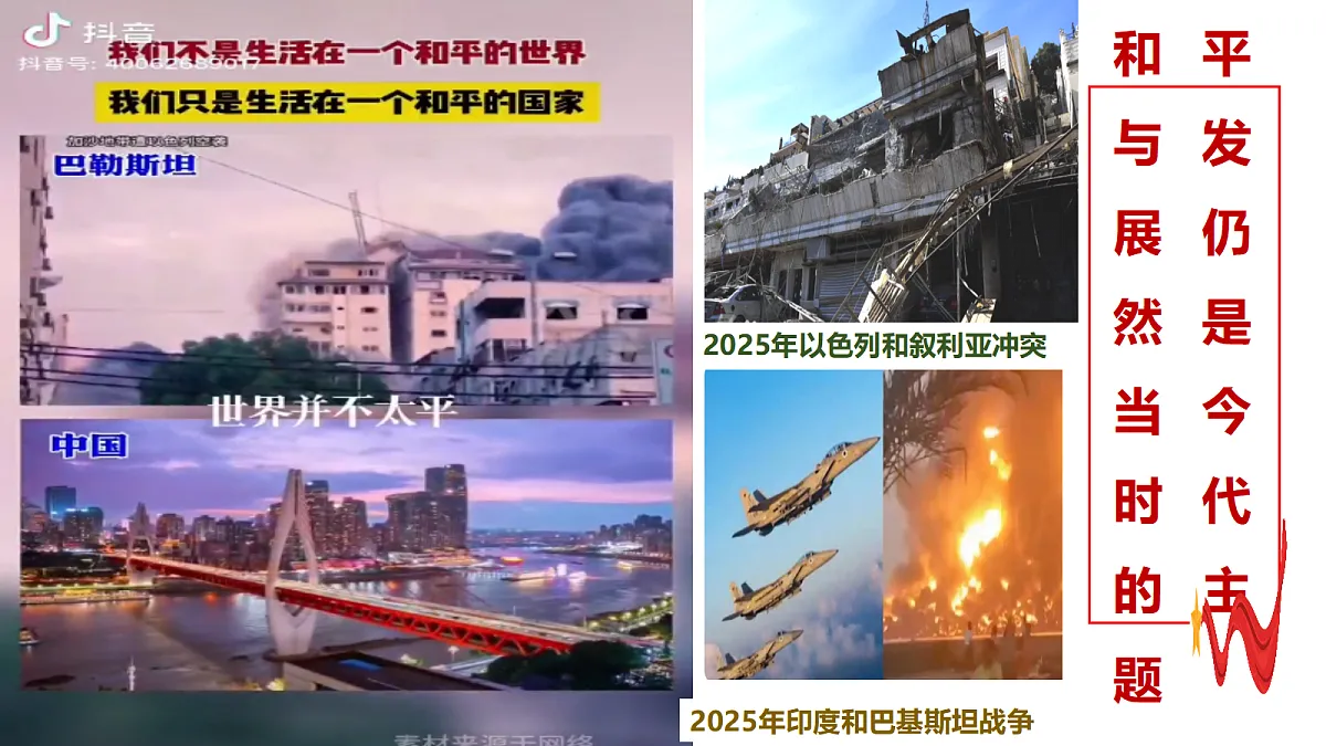 17496213第3页