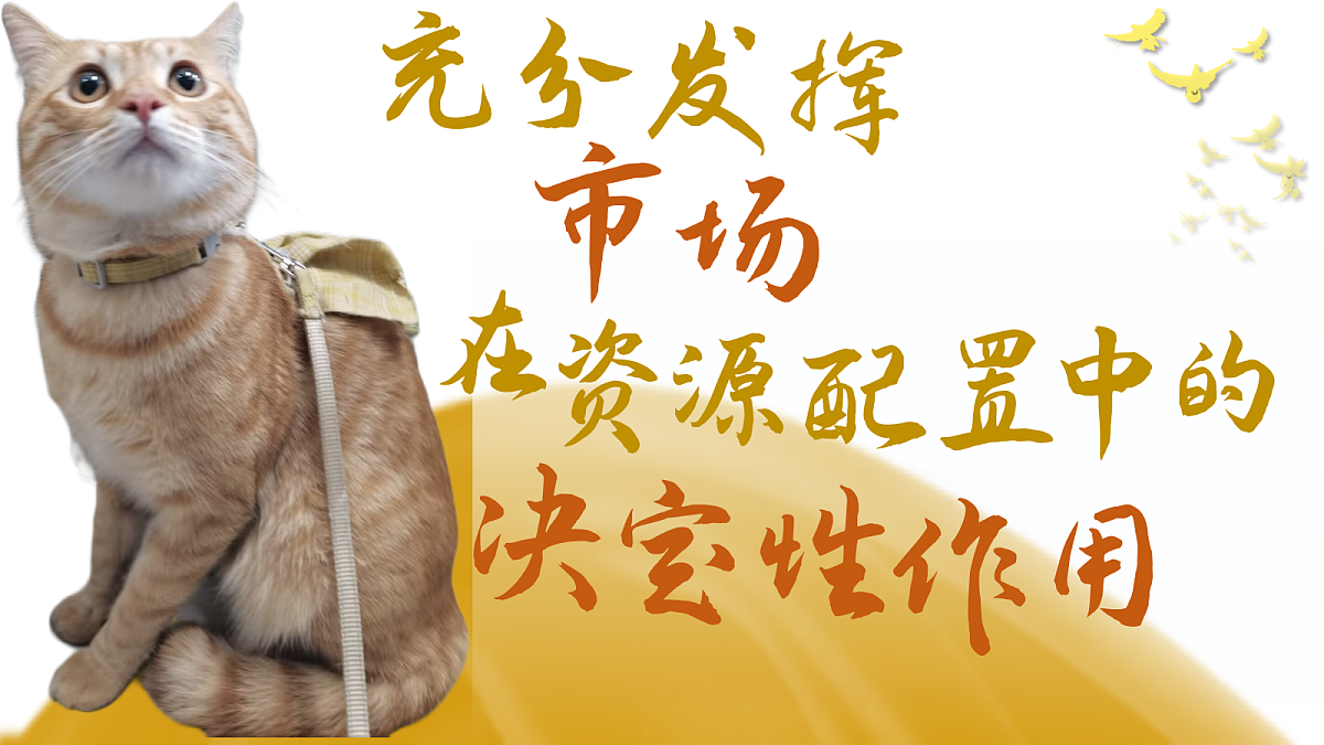 17496388第1页