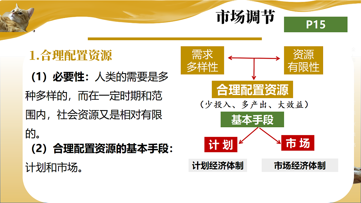 17496388第3页