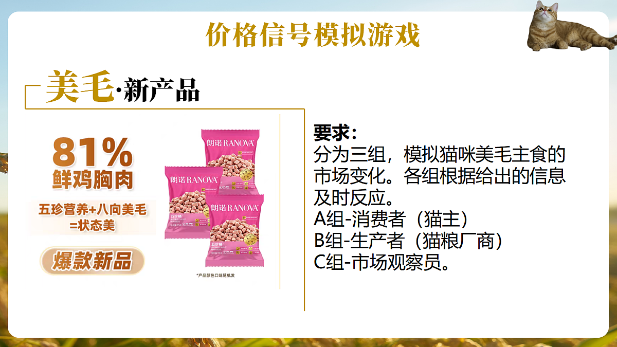 17496388第5页